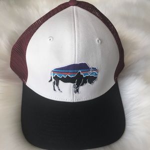 Patagonia Fitz Roy Buffalo Trucker Hat